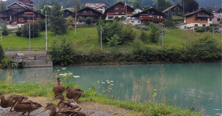 Engelberg, Switzerland: A Peaceful Mountain Escape